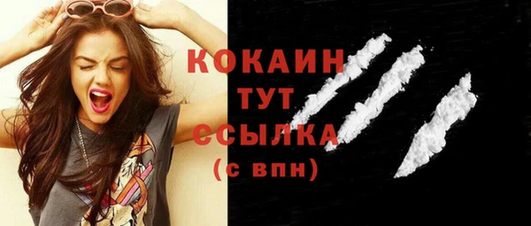 шишки Абаза