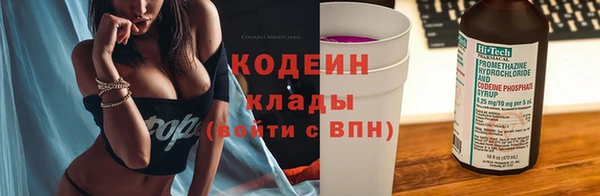 шишки Абаза