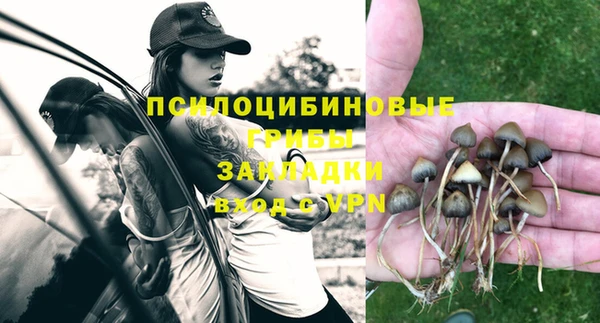 не бодяженный Михайлов