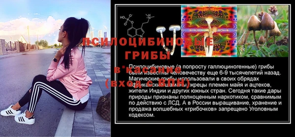 бошки Абдулино
