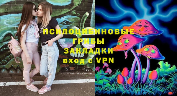 шишки Абаза