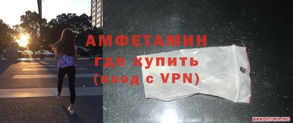 шишки Абаза
