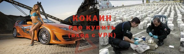 винт Алзамай