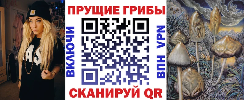 наркота дарк нет какой сайт Галлюциногенные грибы GOLDEN TEACHER Усолье-Сибирское