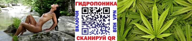 Каннабис White Widow блэк спрут ссылка Усолье-Сибирское